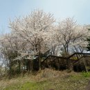 원고잔공원1 이미지