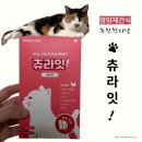 제이에이치바이오팜 | 맛있는 건강 간식, 츄라잇 고양이츄르 영양제 체험기