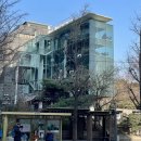 [안국] 생면 파스타 맛집 모던 트라토리아 파티나 Patina