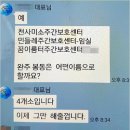 봉침 노컷뉴스