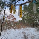 장바우식당 이미지