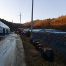 남산리농장 이미지