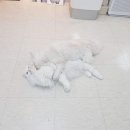 미예뜰미술학원 - 시흥시 장곡로 15 | 미예뜰미술학원