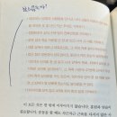 클로버러버