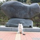 울산광역시 남구 신정3동 행정복지센터 이미지