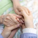 65세이상 감면 이미지