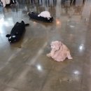 더왈츠앤조이피아 이미지