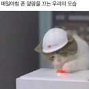 리뷰/후기 그리고 테이스팅노트. Colonel E. H. Taylor small batch