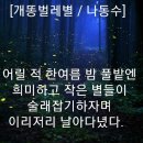 개똥벌레별 이미지