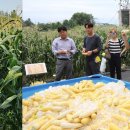 소윤섭농장 이미지