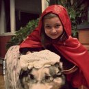 빨간모자 이미지