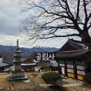 공림사 | 충북 괴산 사찰 여행 고즈넉한 고찰 공림사 겨울 느티나무