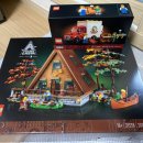 레고닥터A 이미지