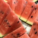 컴포즈커피익산덕기점