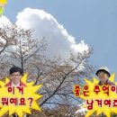 더포레펜션 이미지