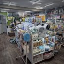 몽몽이애견미용 이미지