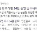 브로민 이미지