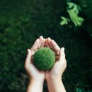 탄소발자국과 지구의 미래 이미지