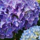 돌산초등학교두라분교장 이미지