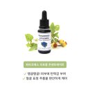 (주)디엠에스인터내셔날 이미지