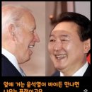 이게 사실이었다고?! 이미지