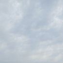 구) 백양리역 Daum카페