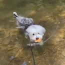 숙희농장 이미지