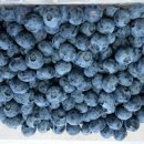 한나농장 이미지