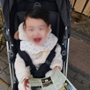브라운에비뉴 네이버블로그