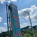 세종, 대전 어린이 서점 대세북 구매 후기 (내돈내산)
