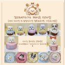 꼬미네까까 | 수원강아지케이크 맛집 기념일 선물로 좋은 꼬미네까까