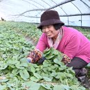 다목농장 이미지