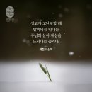 요한계시록 13:1 – 13:10 적그리스도 제국을 상징하는 바다 짐승 / 깨어 인내하라 이미지