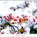 하얀이불 이미지