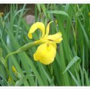 지리산통나무산장 이미지