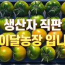 토이농장 이미지