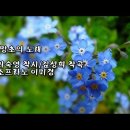 물망초 Daum카페