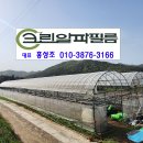 알파크린 이미지