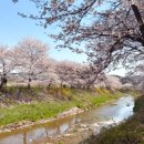 성북2리 마을회관 이미지