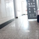 디얼독 이미지
