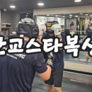 판교스타복싱