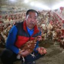 참사랑농장 이미지