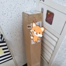 [골프클럽 후기] 초보 여성 골퍼를 위한 추천, 캘러웨이 로그 ST MAX FAST 아이언 후기 (초보 여성...