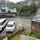 비비다아리 이미지