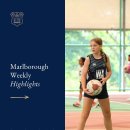 Marlborough Weekly Highlights 이미지