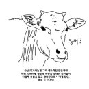 [스압]여러분들이 알고 있는 정보는 얼마나 신빙성이 있나요? + 추가 FTA성공사례 이미지