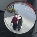 아건네팔인도레스토랑&바르 | 일본 3주 여행 후기