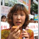 한국-베트남시민연대