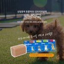 봄날약국 이미지