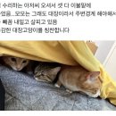 이불아저씨 이미지
